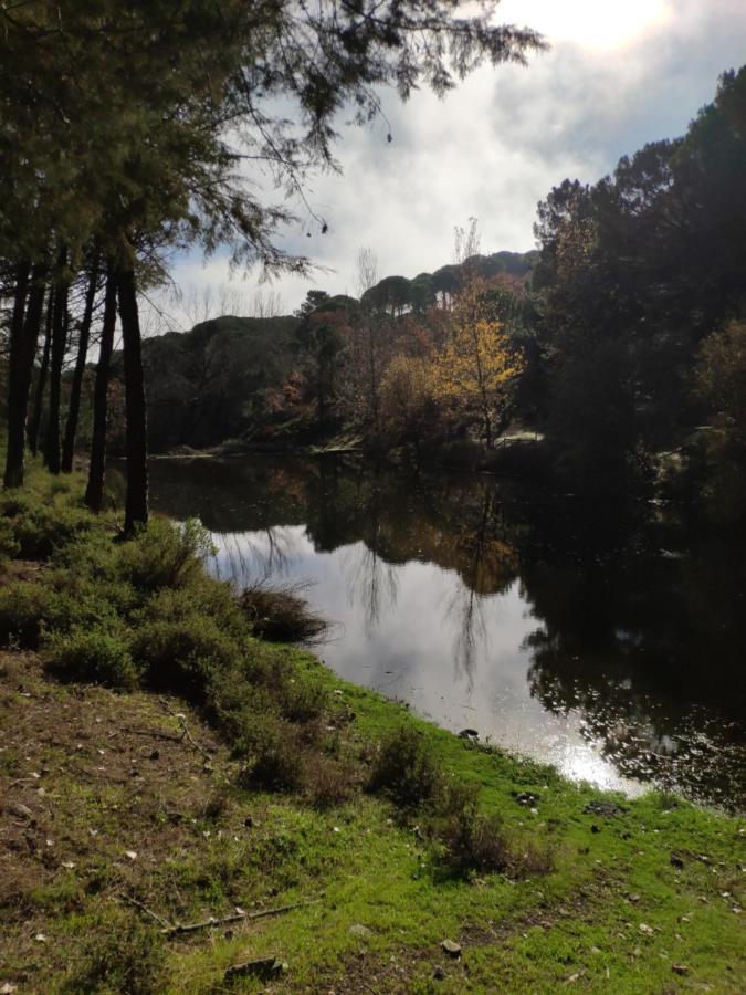 Casa Rural El Trepador Azul Cabeza la Vaca Екстериор снимка